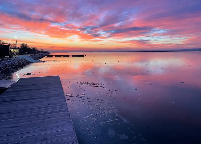 Dokk Agard * Gárdony